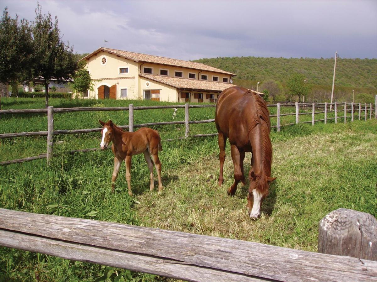 Agriturismo Potrero Grande Sul Lago Di Martignano Con Spiaggia กัมปาญญาโน ดิ โรมา ภายนอก รูปภาพ
