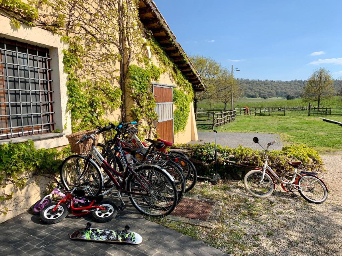 Agriturismo Potrero Grande Sul Lago Di Martignano Con Spiaggia กัมปาญญาโน ดิ โรมา ภายนอก รูปภาพ