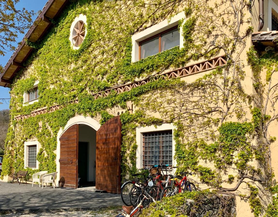 Agriturismo Potrero Grande Sul Lago Di Martignano Con Spiaggia กัมปาญญาโน ดิ โรมา ภายนอก รูปภาพ