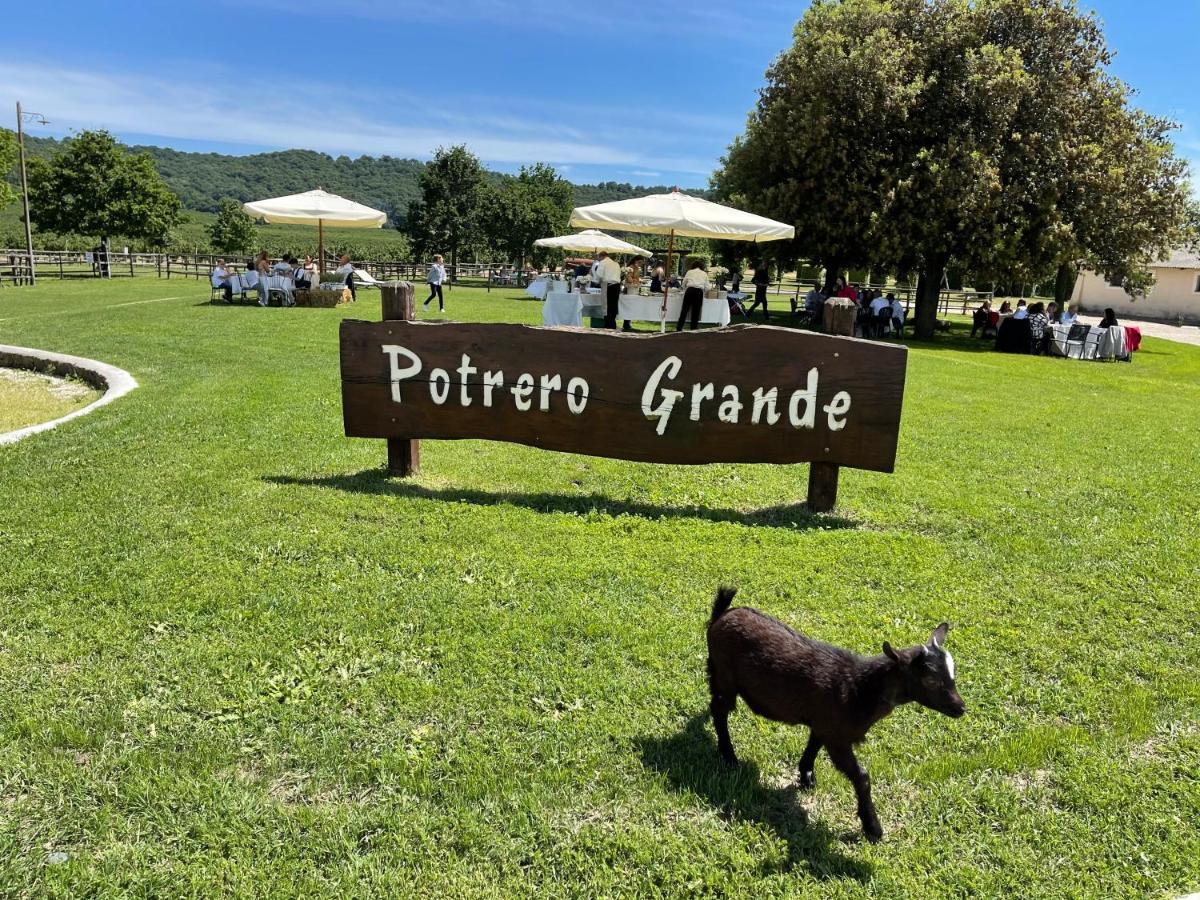 Agriturismo Potrero Grande Sul Lago Di Martignano Con Spiaggia กัมปาญญาโน ดิ โรมา ภายนอก รูปภาพ
