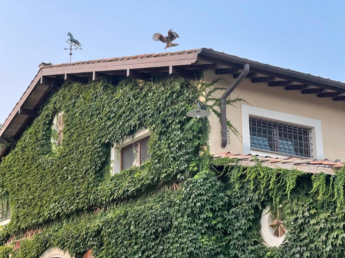 Agriturismo Potrero Grande Sul Lago Di Martignano Con Spiaggia กัมปาญญาโน ดิ โรมา ภายนอก รูปภาพ
