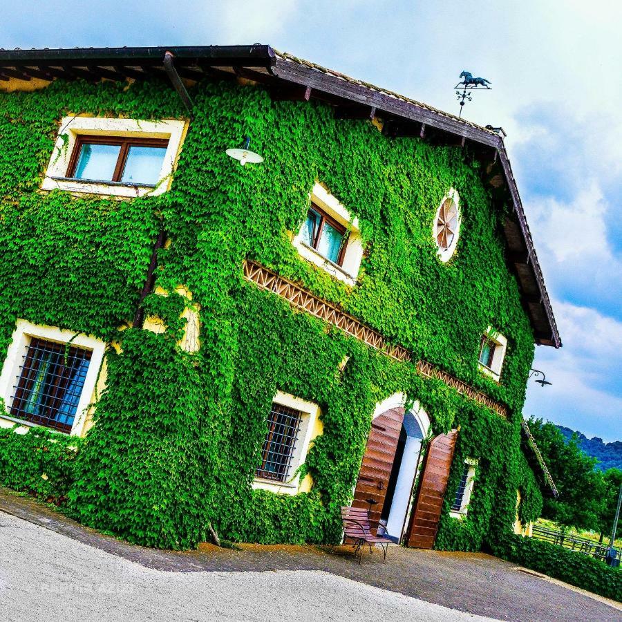 Agriturismo Potrero Grande Sul Lago Di Martignano Con Spiaggia กัมปาญญาโน ดิ โรมา ภายนอก รูปภาพ